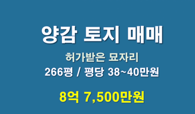 매물사진